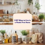 5 DIY ways to live in a Plastic-free home